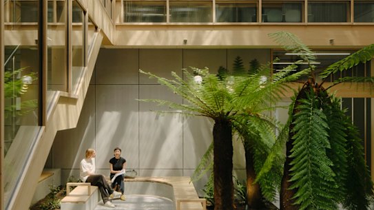 The centrepiece atrium at CHES.