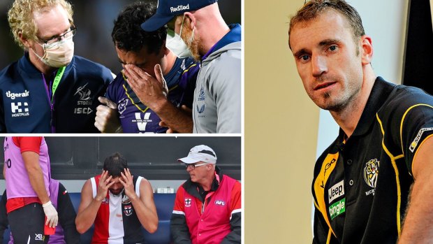 Government should consider enforcing return-to-play protocols, Senate concussion inquiry finds