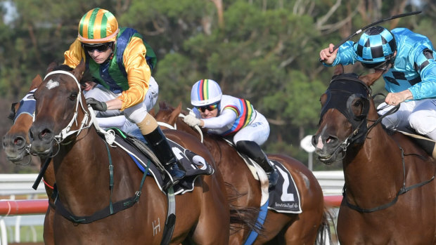 Robbie Dolan rides Easy Eddie to victory at Warwick Farm in December and is aboard for his return at the venue today.
