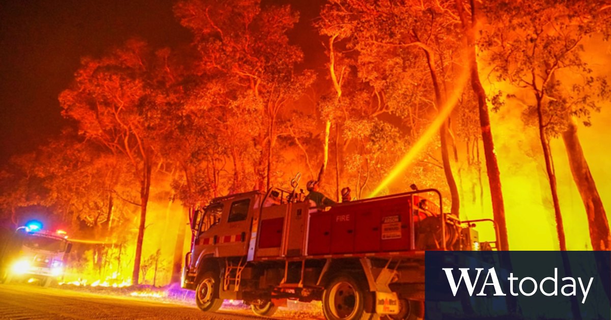 'Phenomenal effort in horrific conditions': Firefighters gain control of three suspicious fires across WA - Vimarsana News