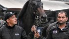 “It would be pretty special” Chris Waller with Verry Elleegant at Rosehill this week