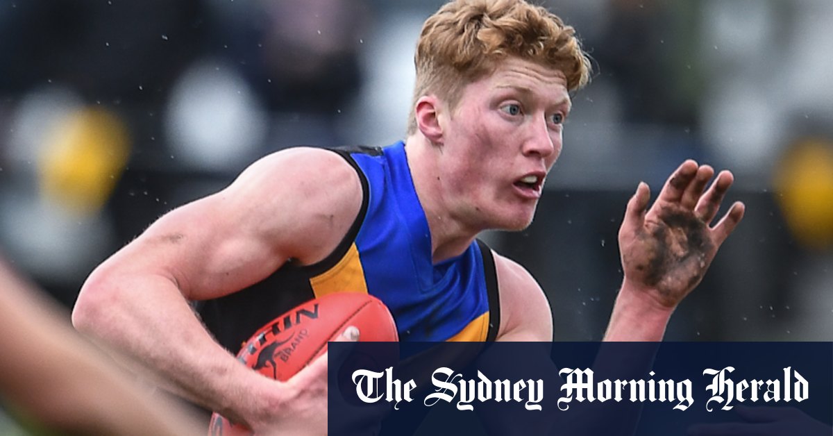 How Matt Rowell’s time at Carey Grammar shaped an AFL Brownlow medallist