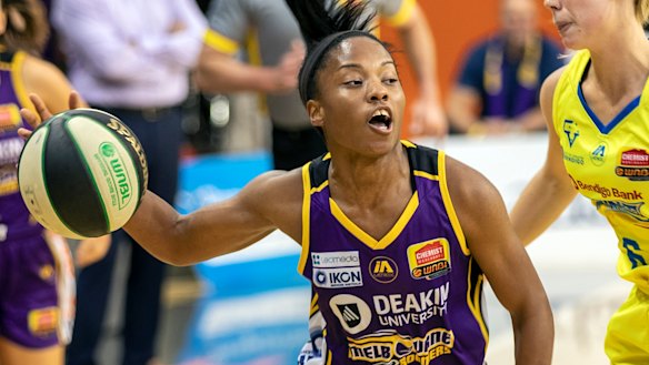 Boomer import Lindsay Allen.