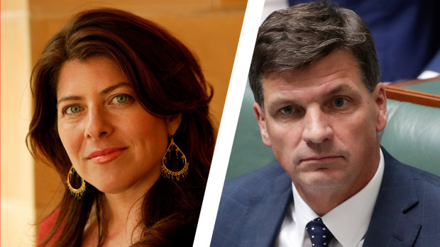 Naomi Wolf and Angus Taylor both studied at Oxford, but Wolf says not at the same time, as Taylor asserted in his first speech to Parliament. 
