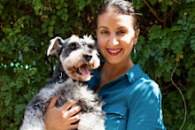 Little Angus may no longer be with us, but the much-loved miniature schnauzer has left his paw prints on property rights across Australia and around the world.