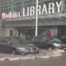 ‘Swimming in Double Bay’: Flash flooding leaves suburb submerged