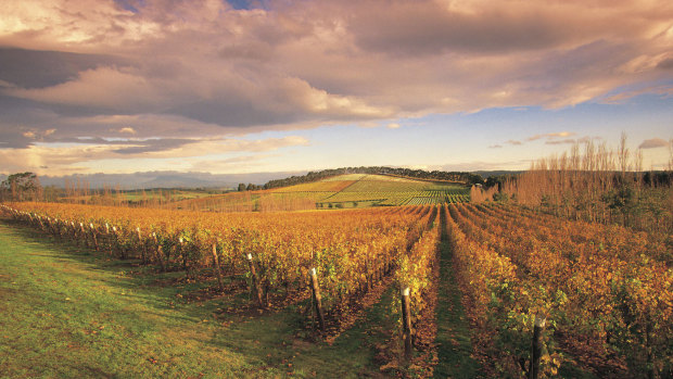 The weaker Aussie dollar is proving a good thing for the wine industry.