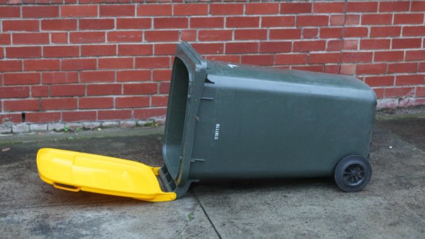 Wheelie bin replacement and repairs tops the list for questions residents ask Brisbane City Council.