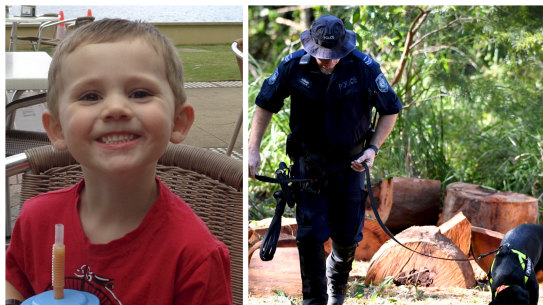 Police continue to search for William Tyrrell