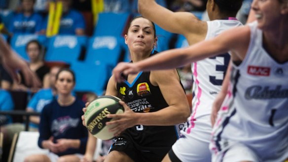 Maddison Rocci has been a standout so far this season.