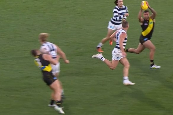 Geelong’s Tom Stewart will come under MRO scrutiny after collecting Dion Prestia.