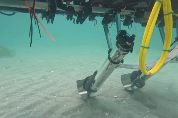 The underwater restoration robot in action.