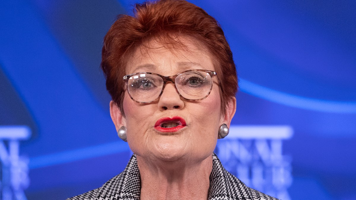 Pauline Hanson’s 90-minute National Press Club address was ‘popcorn TV’