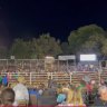 ‘It was pandemonium’: Bull escapes, charges crowd at Kununurra Rodeo