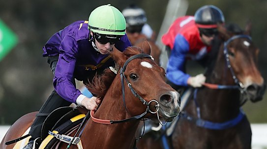 Robbie Dolan rides Mr Mosaic in a trial.