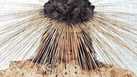 Dancing Bride (2016) by Lisa Reihana, C-type, 205cm × 145cm, Edition AP2/3 + 2AP.