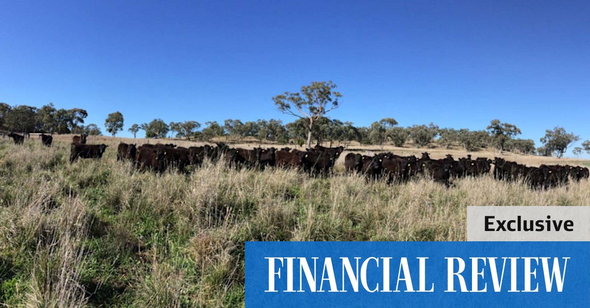 Green Bank-backed fund snaps up $80m of NSW farms - Vimarsana News