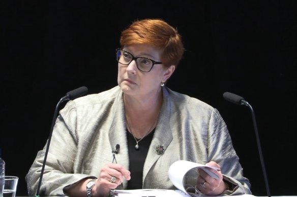 Former foreign minister Marise Payne is retiring from politics.