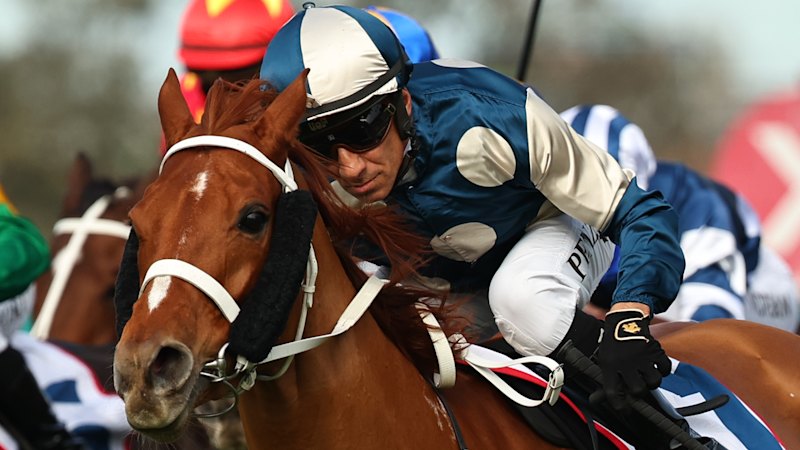 966fa6f0dc73cb8e9fad09d87160eb7b3b57321b