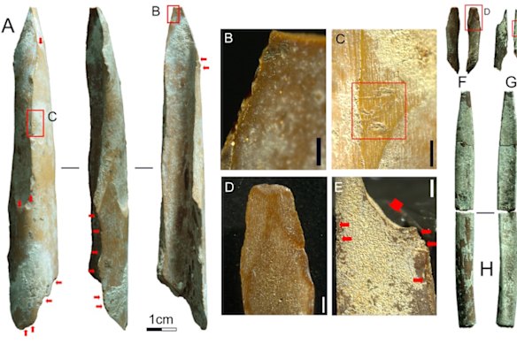 The tools were of various sizes and likely used for a range of purposes up to 46,000 years ago.