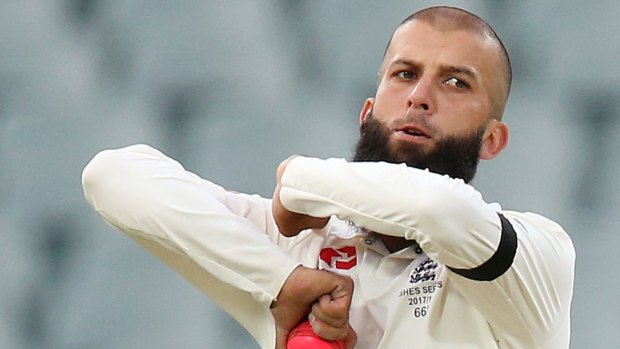 Allegation: England's Moeen Ali has claimed he was racially abused by an unnamed Australian player during the 2015 Ashes. 