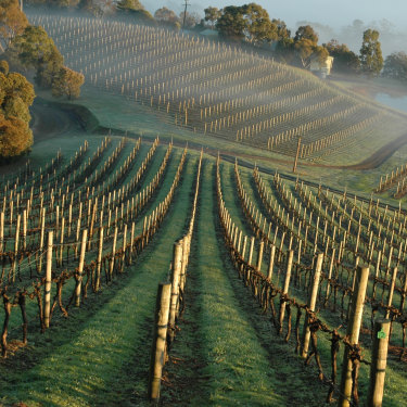 Good Weekend And The Real Review S Top Australian Wineries