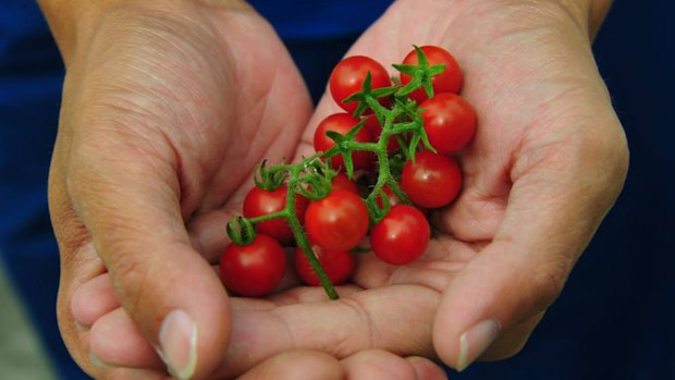 Agriculture makes up only about 1 per cent of Singapore's land area.