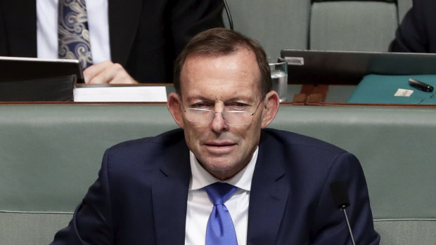 Leading the charge against the NEG: Tony Abbott in Parliament this week.