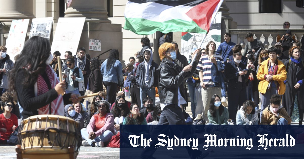Mass arrests at university campuses as pro-Palestine protests escalate in US
