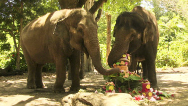 Tricia, left, celebrates her 56th birthday with Permai in 2013.