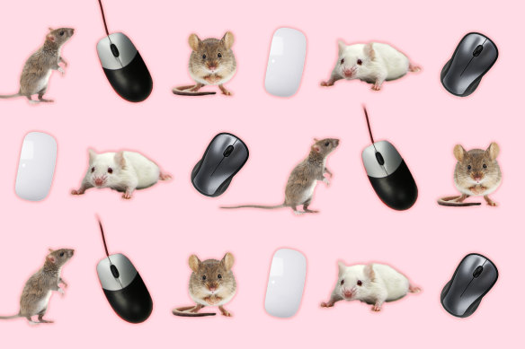 Mouses or mice?