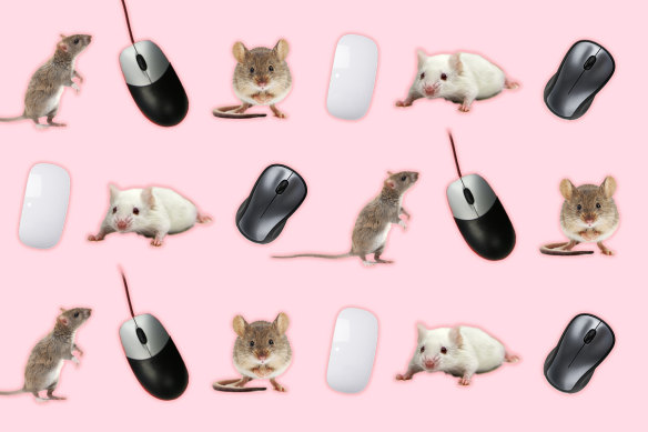 Mouse mouses shop