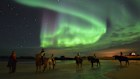Horse riding under the Northern lights in Norway