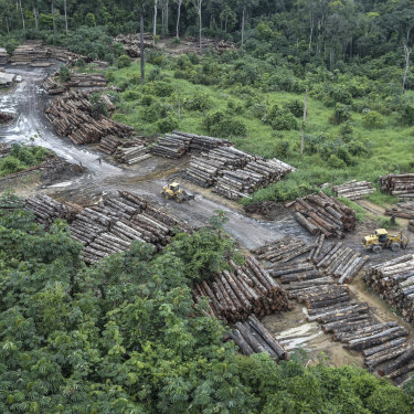 An illegally deforested area in Brazil's Amazon basin. 