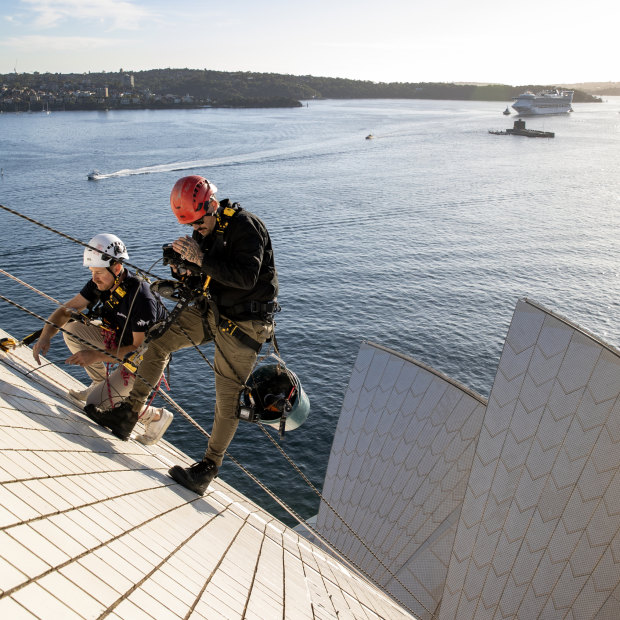 Opera House building operations manager Dean Jakubowski and height access specialist Dean Gillies drill in between tiles and use a borescope to inspect the inside of the shell of the sails.