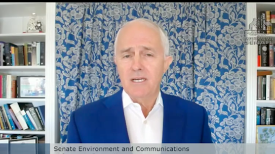 Former prime Minister Malcolm Turnbull appears via videolink at a Senate committee.