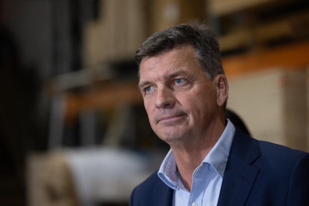 Opposition Leader Angus Taylor.