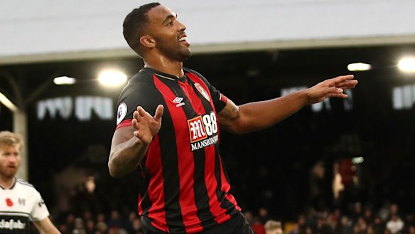 Top scorer: Bournemouth's Callum Wilson grabbed 14 league goals last year.