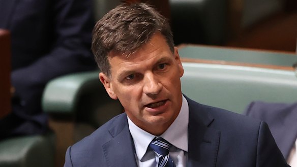Minister for Energy and Emissions Reduction Angus Taylor wants big companies to say how they’re going to achieve their net-zero emissions targets.