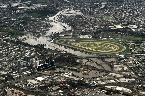 Flemington Racecourse's flood wall kept the track in pristine condition while houses in Maribyrnong were flooded.