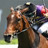 Gilded Water races to an easy win at Randwick on December 21.
