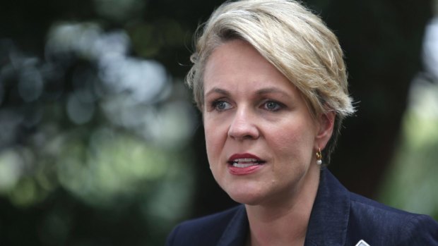 Deputy Federal Opposition Leader Tanya Plibersek at a press conference in Rosberry on Sunday. 