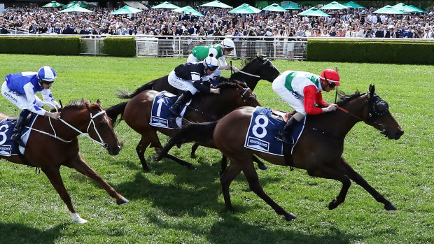   The  2019 The Kosciuszko winner Handle The Truth is a big chance in the feature Goulburn Cup. 