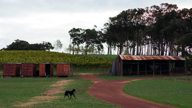 Glenarty Road is the culmination of one couple's passion for all things farming and viticulture.