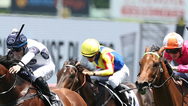 Oui Oui Oui: Trainer has big plans for in-form mare