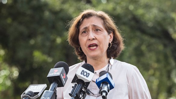 Victorian Minister for Energy, Environment and Climate Change Lily D’Ambrosio said the problem was with gas exports.