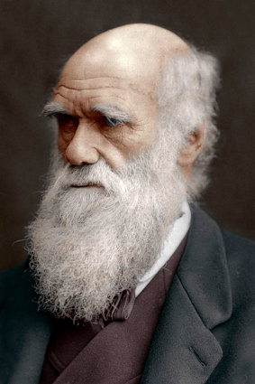 Charles Darwin in 1878.