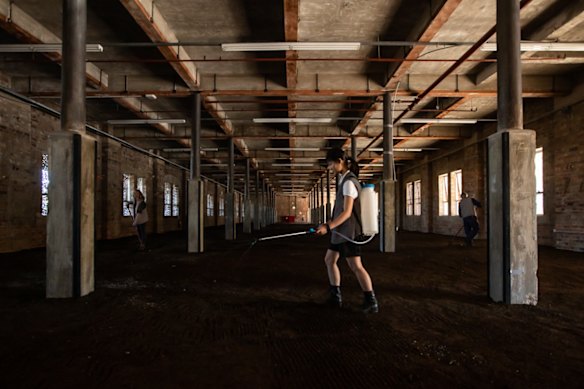 Professor Alex McBratney was a collaborator on an art project that saw 300 tonnes of soil fill a Carriageworks building.