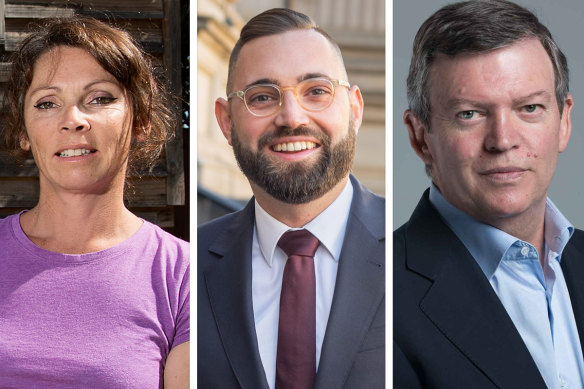 Labor MPs Sonja Terpstra, Dustin Halse and Frank McGuire are pushing for the Victorian government to raise the age of criminal responsibility to 14.