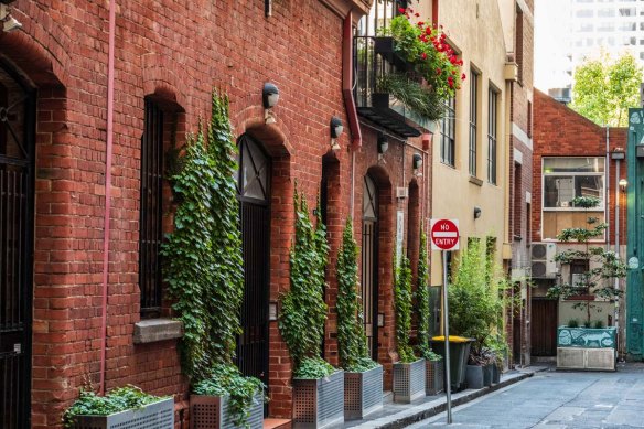 Coromandel Place, off Little Collins Street, a year on from the greening project.